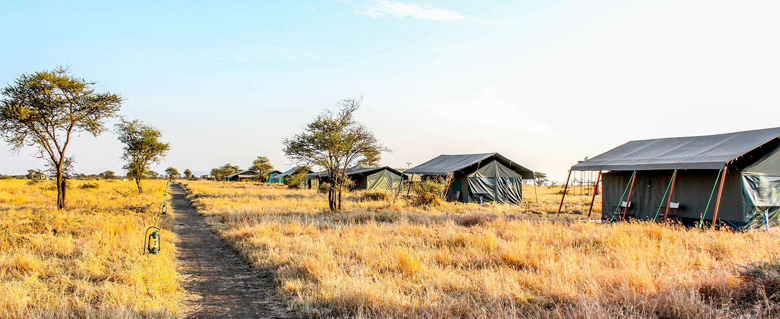 Beautiful Serengeti habitat for birdlife