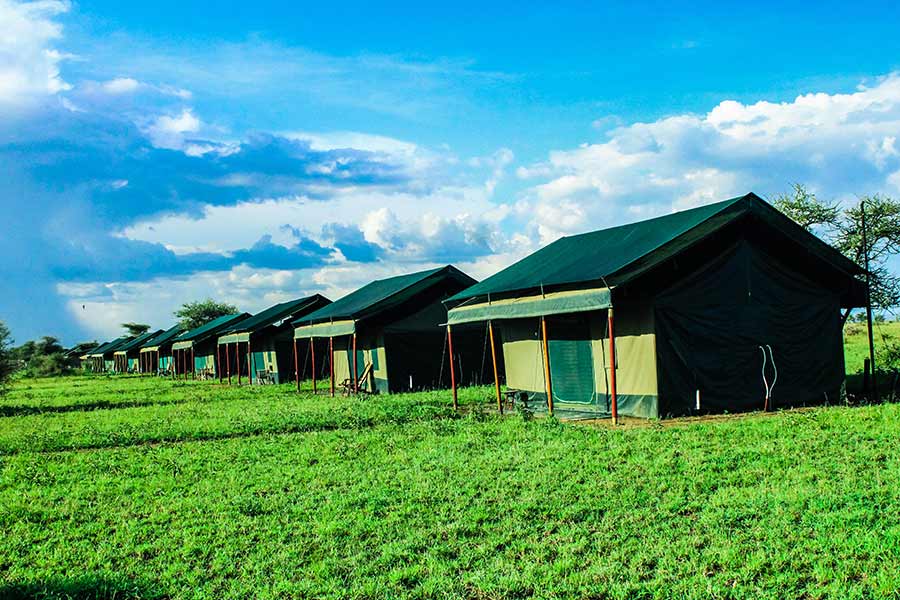 Serengeti Heritage Camp overview