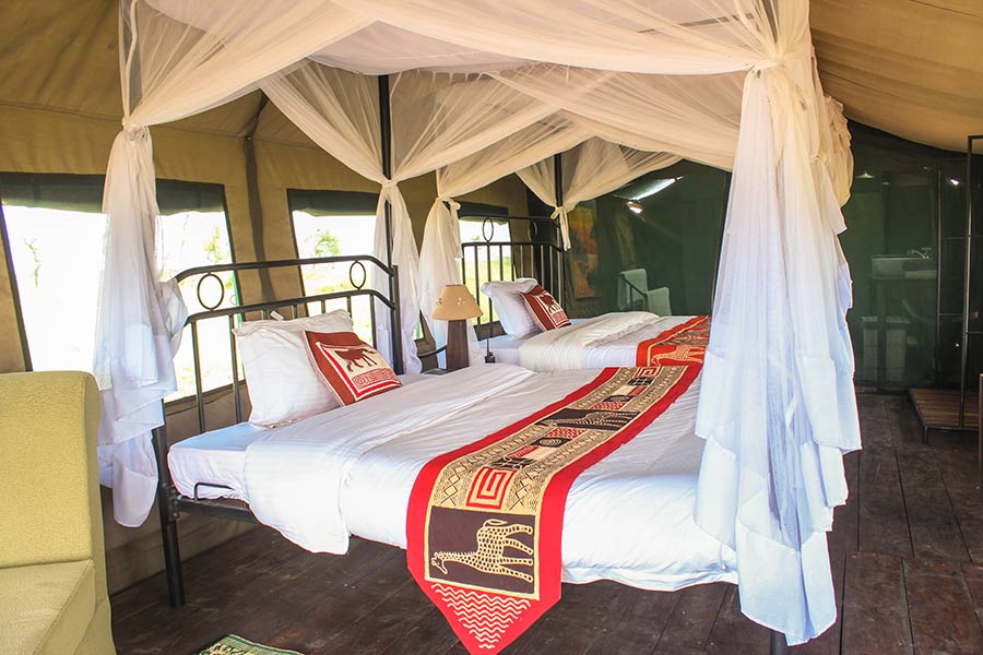 Safari game drive