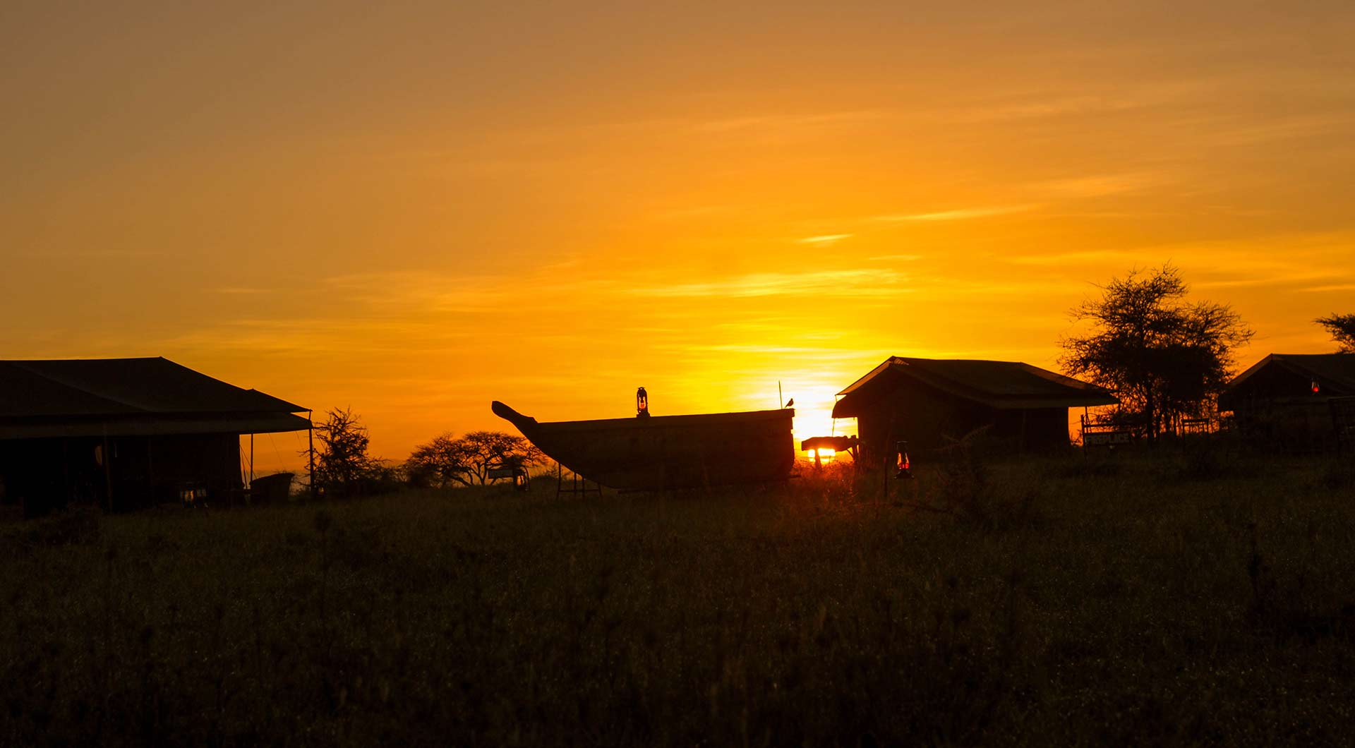 Serengeti plains landscape