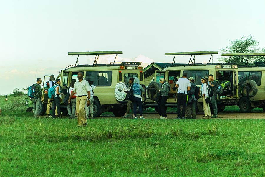 Wildebeest crossing during the Great Migration