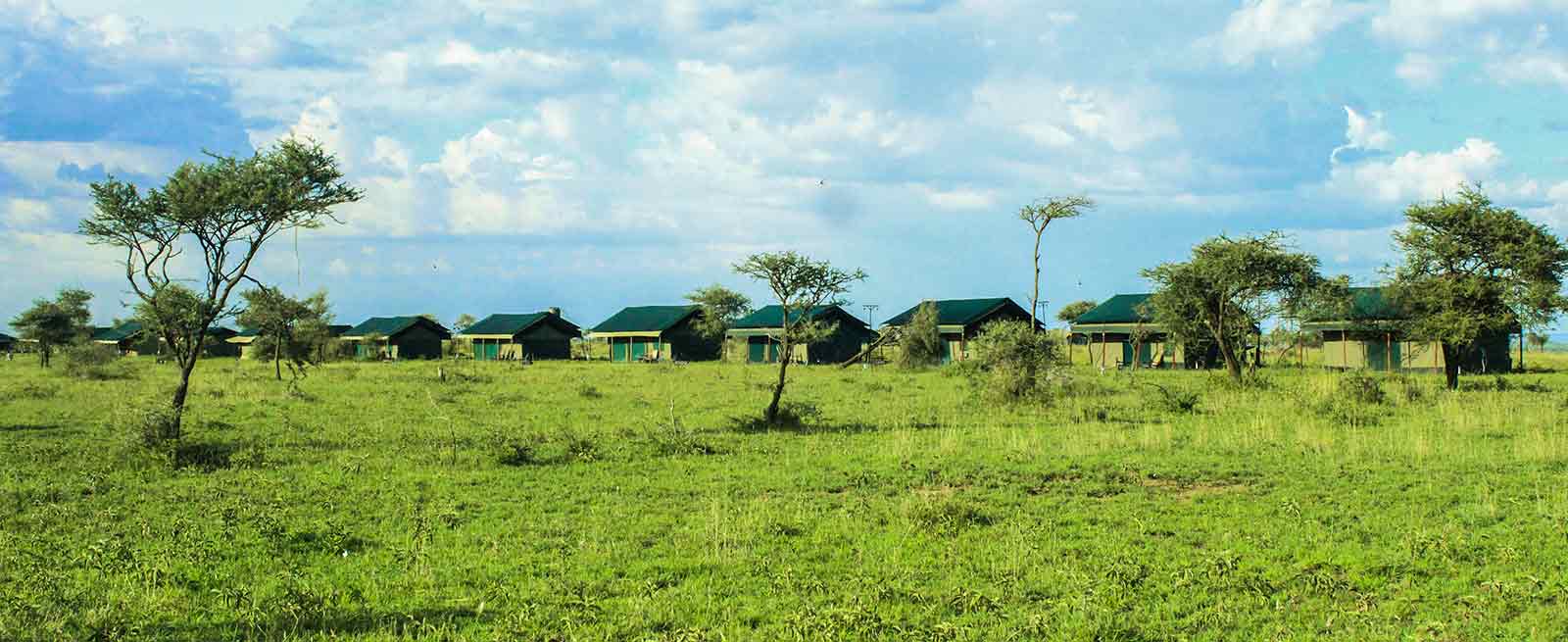Close wildlife encounter on safari